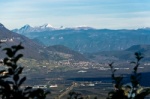 Blick auf Tramin in Südtirols Süden