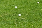 Golfbälle im Grün