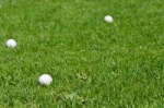 Golfbälle im Grün
