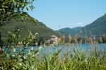 Schilfgürtel am Lago di Toblino